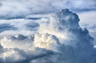 Ученые: производство рыбных палочек сильно загрязнет атмосферу - «Финансы»