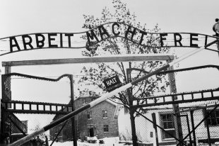 Немецкий журнал приписал освобождение Освенцима американцам - «Финансы»