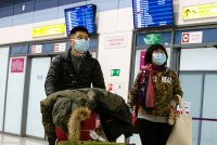 Голикова: Россия временно приостановит выдачу рабочих виз гражданам КНР - «Финансы»