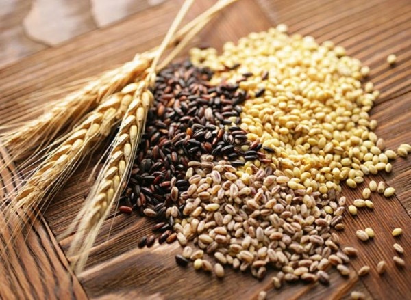 В Минсельхозе отчитались об обеспеченности семенами для урожая 2020 года - «Экономика»