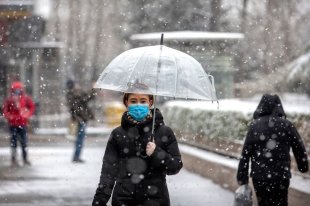 Онколог назвал способный довести до рака продукт - «Финансы»