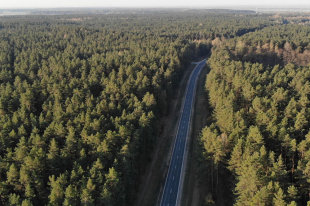 Пора сажать - «Финансы»