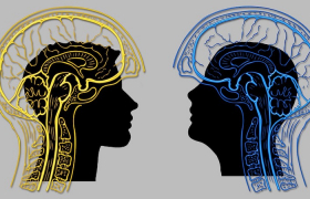 «Випов» развелось: почему банки ужесточают условия участия в Priority Pass - «Финансы»