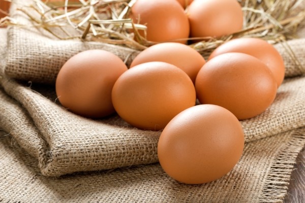 В Минсельхозе ответили производителям яиц - «Экономика»