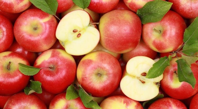 Минсельхоз намерен за 4 года вернуть рынок казахстанским яблокам - «Экономика»