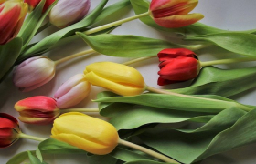 Бей до дна. Россия и ОПЕК развязали войну на нефтяном рынке - «Финансы»