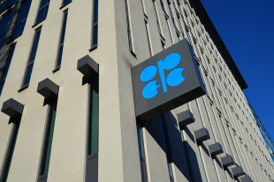 Песков заявил о "запасе прочности" экономики из-за обвала рубля и нефти - «Финансы»