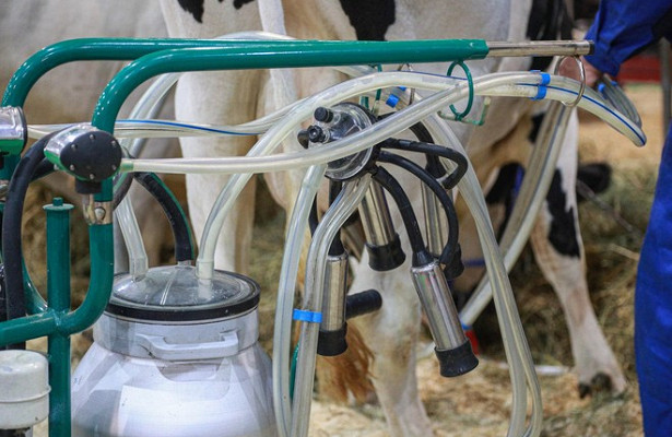 Минпромторг предлагает продлить сроки маркировки молочной продукции&nbsp - «Экономика»