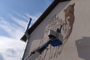 Итальянский райтер не завершит граффити на мэрии Краснодара - «Финансы»