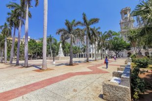 На футбольных стадионах в Бразилии появились полевые госпитали - «Финансы»