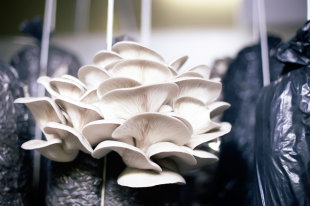 Минфин разъяснил, в каких случаях граждане могут не платить по кредиту - «Финансы»