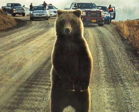 Для москвичей ввели дополнительные штрафы за нарушение режима изоляции - «Финансы»