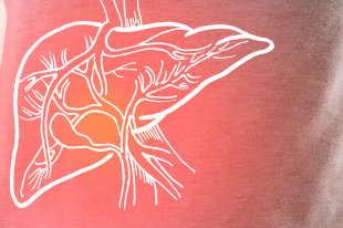 Врач рассказал, как распознать появление жировой болезни печени - «Финансы»