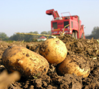 Аграрная кредитная корпорация автоматизирует процесс финансирования фермеров - «Финансы»