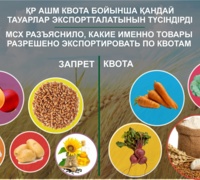 Какую продукцию разрешено экспортировать из Казахстана - «Экономика»