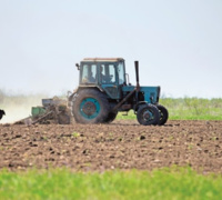 В Кызылординской области увеличат посевы сои и сахарной свеклы - «Экономика»