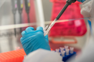 Немецкие ученые рассказали о людях с иммунитетом к COVID-19 - «Финансы»