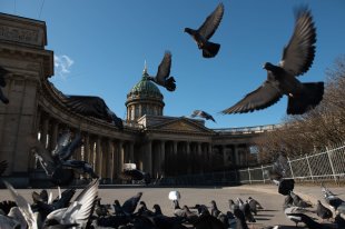 В Вологодской области введут электронные пропуска для въезжающих - «Финансы»