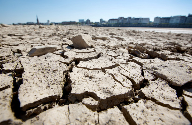 Засуха ударит поэкономике Германии&nbsp - «Экономика»