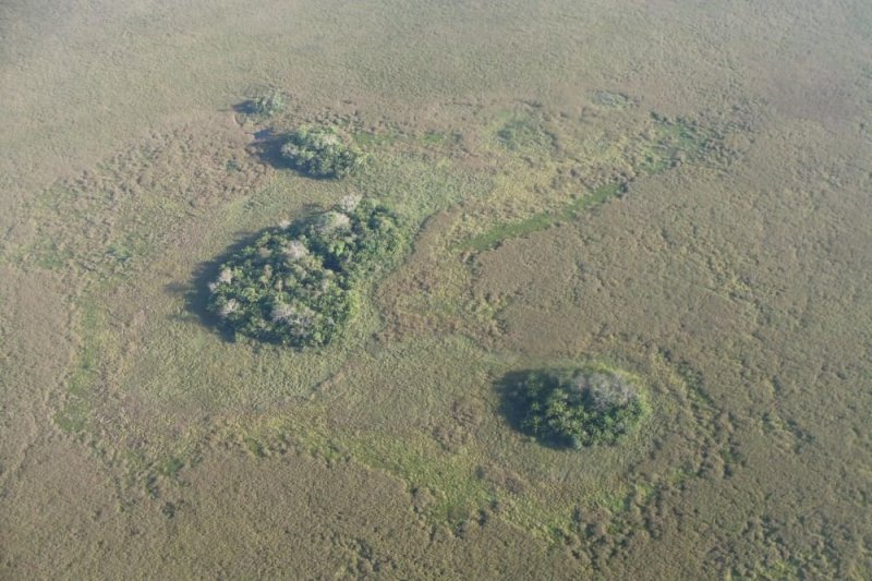 На Амазонке найдены "искусственные острова" возрастом 10000 лет - «Финансы»