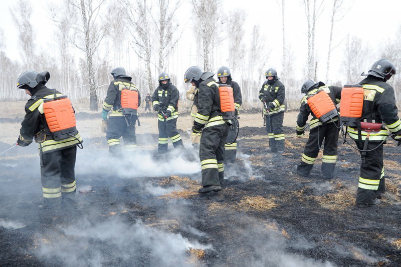 На Кубани вспыхнул новый крупный лесной пожар - «Финансы»