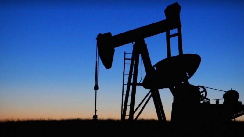 В 2020 году ОПЕК ожидает рекордного падения спроса на нефть в мире - «Финансы»