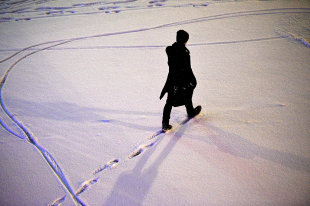 Гигантские шершни-убийцы поставили под угрозу пчеловодство США - «Финансы»