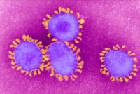 Назван ранний симптом коронавируса, влияющий на возможную тяжесть болезни - «Финансы»