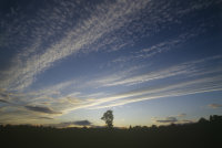 Экипаж Crew Dragon начал финальную подготовку к тестовому полету - «Финансы»