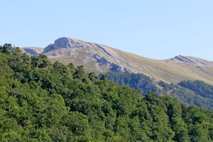 Кенозерский нацпарк и Онежское Поморье откроются для гостей с 1 июня - «Финансы»