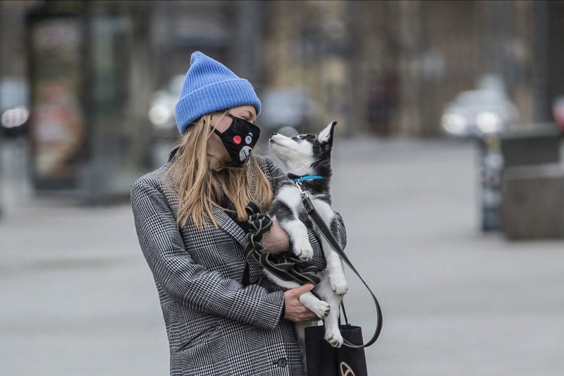 В Москве введут новые правила выгула собак - «Финансы»