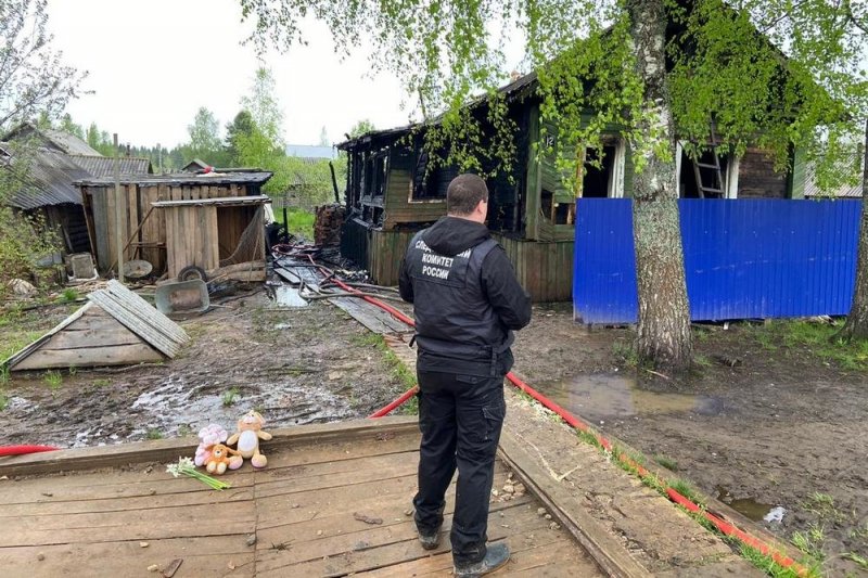 Под Костромой возбудили дело после гибели детей при пожаре - «Финансы»