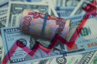 До какого уровня может снизиться курс рубля осенью - «Финансы»