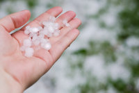 В День России москвичей ждут облачная погода, дождь и до 26 градусов тепла - «Финансы»