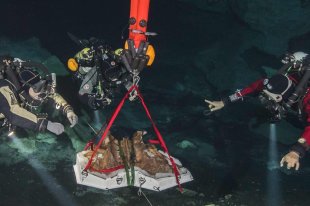 Оружие и одежду возрастом 48 тысяч лет нашли в Шри-Ланке - «Финансы»