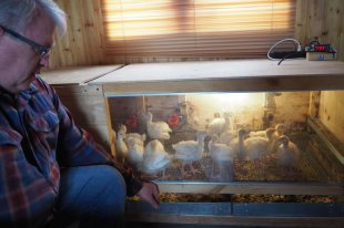 Прокати-поле - «Финансы»