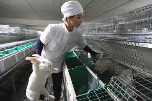 Землям доначислят налоги - «Финансы»