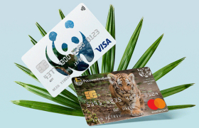 Зона отдыха. Какие курорты готовы принять российских туристов? - «Финансы»