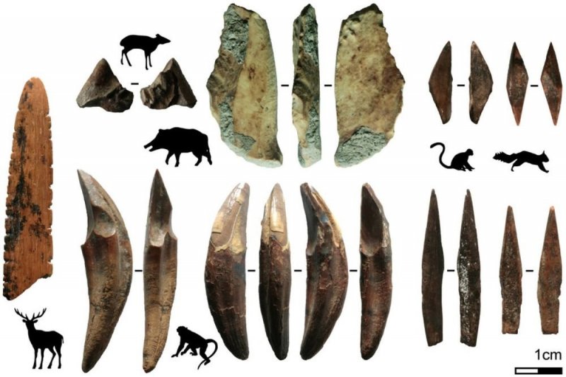 Оружие и одежду возрастом 48 тысяч лет нашли в Шри-Ланке - «Финансы»