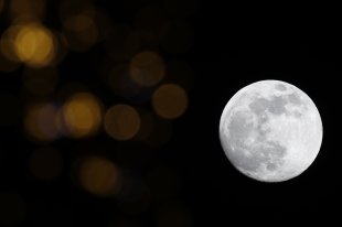 Идентифицирован загадочный гель, найденный на обратной стороне Луны - «Финансы»