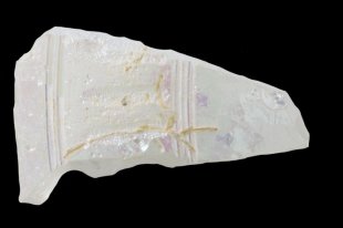 Две "золотые" мумии найдены в предполагаемой гробнице Клеопатры - «Финансы»