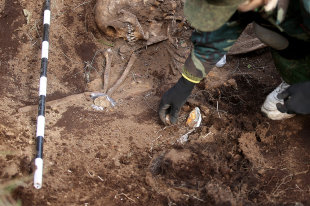 В Ленобласти нашли захоронение 310 бойцов Зимней войны - «Финансы»