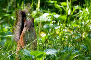 Собянин уволил главу департамента образования Исаака Калину - «Финансы»