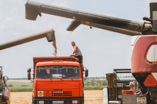 В Крыму собрали один миллион тонн зерна - «Финансы»