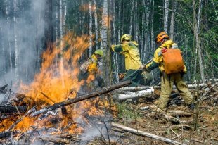 Площадь пожара в уральском заповеднике превысила 120 гектаров - «Финансы»