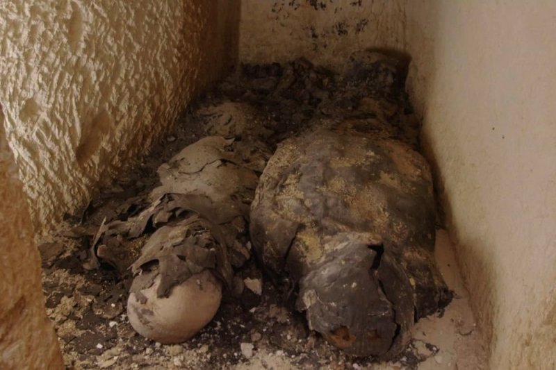 Две "золотые" мумии найдены в предполагаемой гробнице Клеопатры - «Финансы»