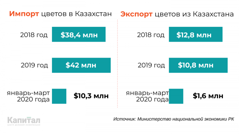 Игроки цветочного рынка подсчитали убытки - «Экономика»