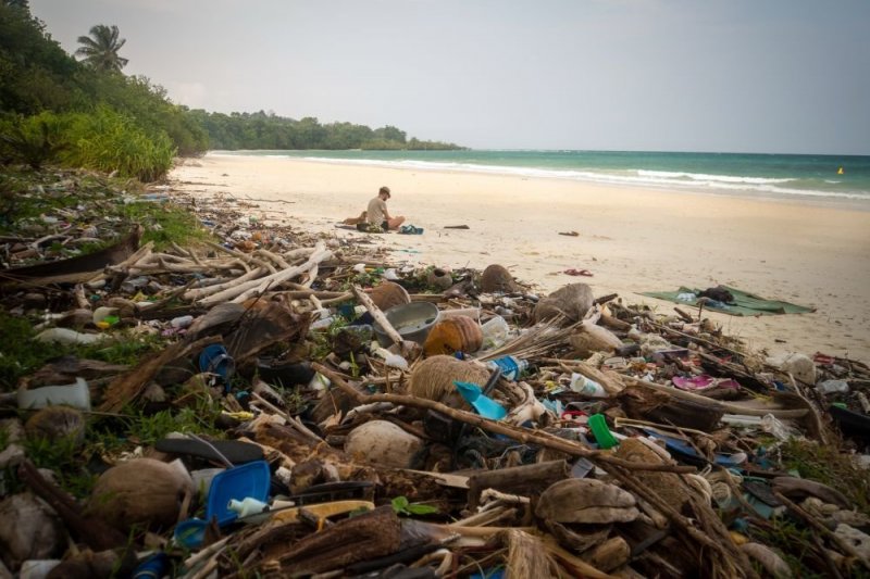Ученые доказали, что морской окунь не накапливает вредный пластик - «Финансы»