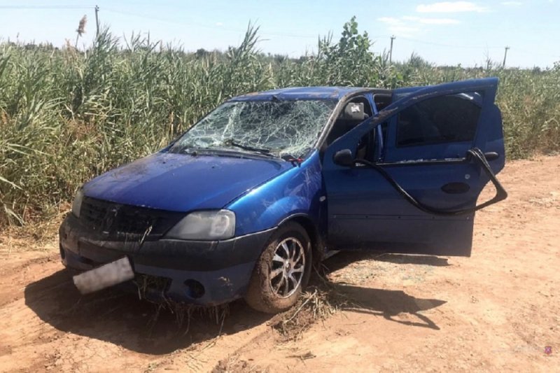 В оросительном канале под Волгоградом нашли авто с пятью погибшими - «Финансы»