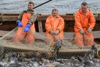 Законы о защите минимального дохода должников могут принять в осеннюю сессию - «Финансы»